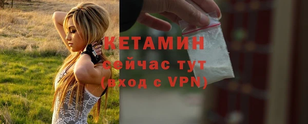 трава Аркадак