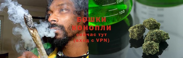 трава Аркадак
