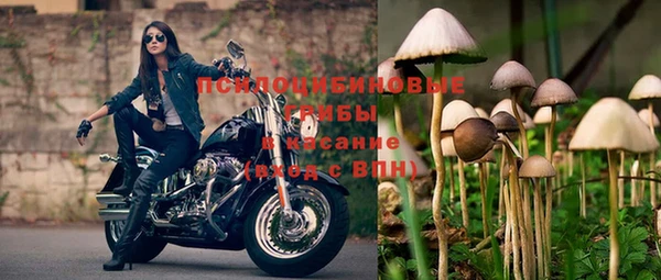 трава Аркадак