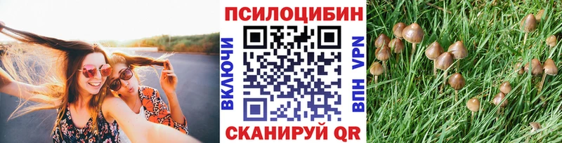 Псилоцибиновые грибы прущие грибы  гидра ссылки  Голицыно 